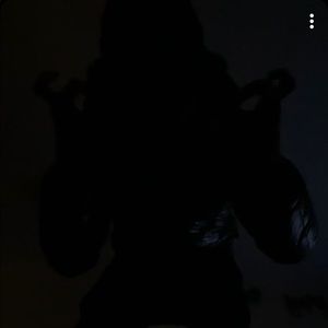 Meet your Posher, Dennis